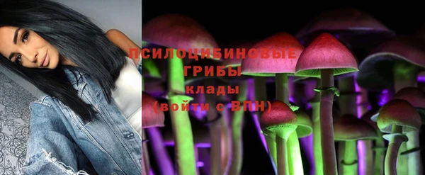 герыч Абаза