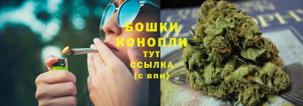 трава Медногорск