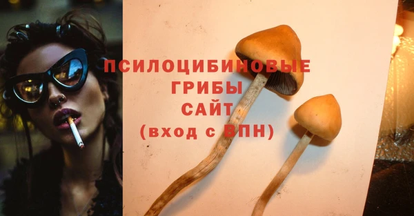 трава Медногорск