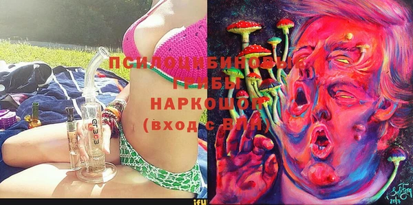 МДПВ Мегион